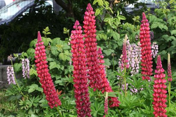 Владимир Ромашкин - Загадки исчезнувших цивилизаций. Часть I. Загадочная Антарктида