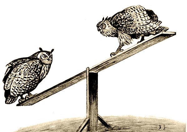 Владимир Дуров - Пернатые артисты