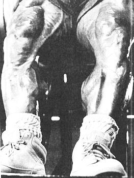 Арнольд Шварценеггер, Билл Доббинс - Новая энциклопедия бодибилдинга. Кн.2....