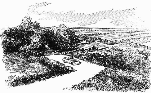 Николай Томан - Просчет мистера Бергоффа (с иллюстрациями)