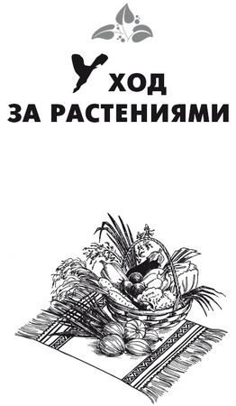 Елена Шкитина - Выращивание основных видов овощных культур. Технология богатых...