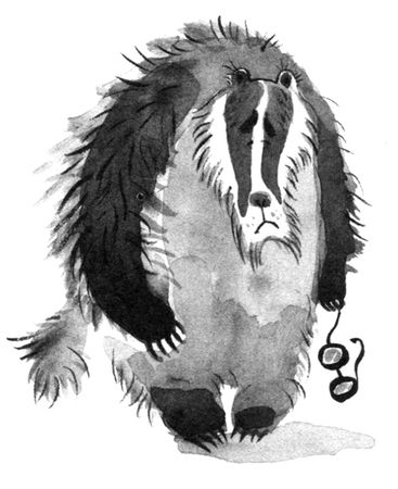 Пал Бекеш - Барсук с нашего двора