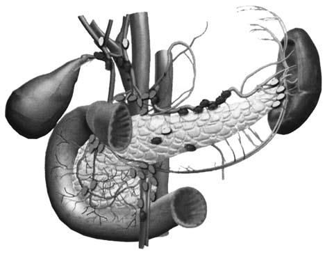 Коллектив авторов - Избранные лекции по факультетской хирургии: учебное пособие