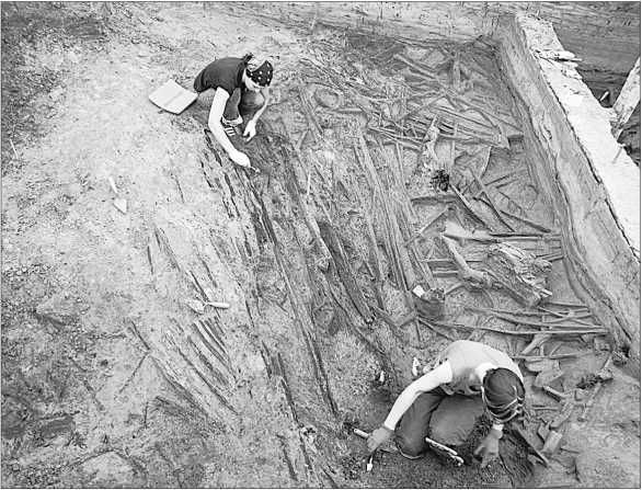 Петр Сорокин - Окрестности Петербурга. Из истории ижорской земли