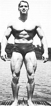 Арнольд Шварценеггер, Билл Доббинс - Новая энциклопедия бодибилдинга. Кн.2....