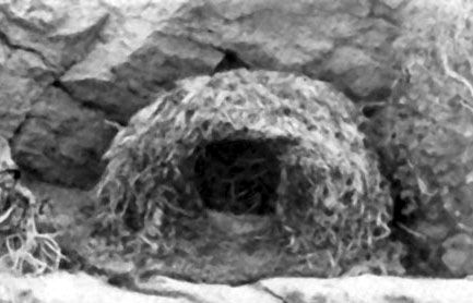 Роальд Потапов - Неведомый Памир