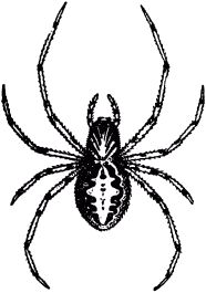 Жан-Анри Фабр - Жизнь насекомых. Рассказы энтомолога