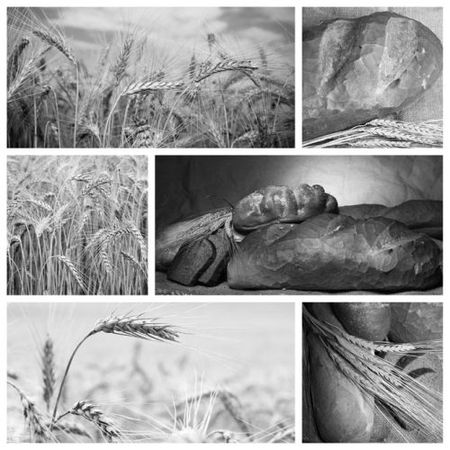 Ольга Зьомко, Дмитрий Сухаревский - Как заработать на фотографии в Интернете