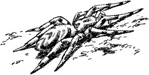 Жан-Анри Фабр - Жизнь насекомых. Рассказы энтомолога