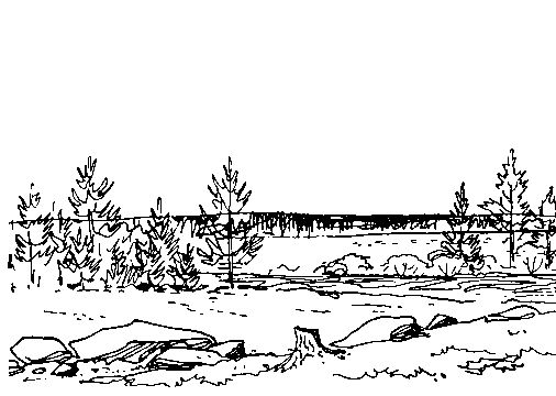 Анатолий Чехов - У самой границы