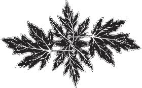 Сергей Есенин - Я обманывать себя не стану...