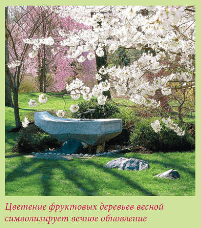 Мария Згурская - Китайский и японский сад