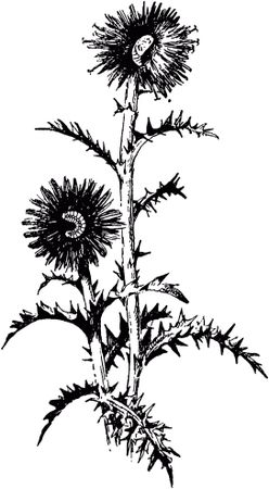 Жан-Анри Фабр - Жизнь насекомых. Рассказы энтомолога