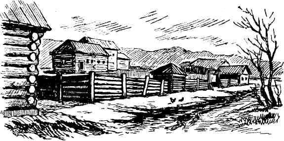 Александр Шмаков - Петербургский изгнанник. Книга вторая