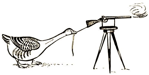 Владимир Дуров - Пернатые артисты