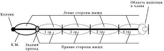 Владимир Лешан - Как получать огромное удовольствие от оргазма