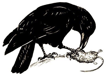 Владимир Дуров - Пернатые артисты