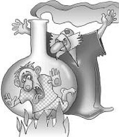 Константин Монастырский - Функциональное питание