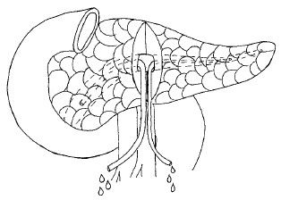 Коллектив авторов - Избранные лекции по факультетской хирургии: учебное пособие