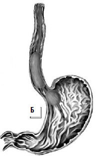 Коллектив авторов - Избранные лекции по факультетской хирургии: учебное пособие