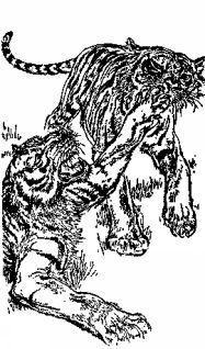 Джеральд Даррелл - Мясной рулет. ВСТРЕЧИ С ЖИВОТНЫМИ