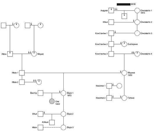 Валерий Докучаев, Лариса Докучаева и др. - Наследие предков. Обретение силы Рода