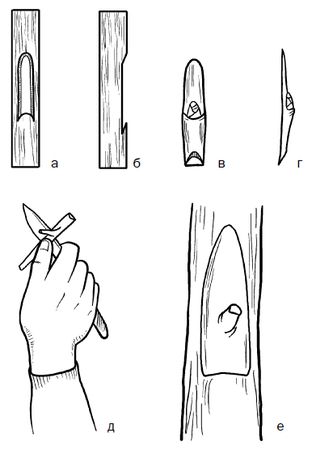 Галина Серикова - Прививка плодовых деревьев: распространенные ошибки и секреты...
