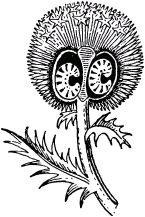 Жан-Анри Фабр - Жизнь насекомых. Рассказы энтомолога