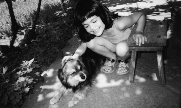 Николай Веракса, Александр Веракса - Проектная деятельность дошкольников....