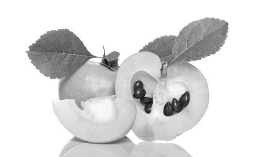 Ольга Зьомко, Дмитрий Сухаревский - Как заработать на фотографии в Интернете