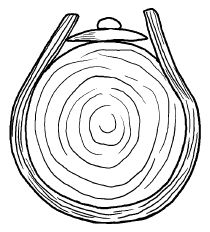 Галина Серикова - Прививка плодовых деревьев: распространенные ошибки и секреты...