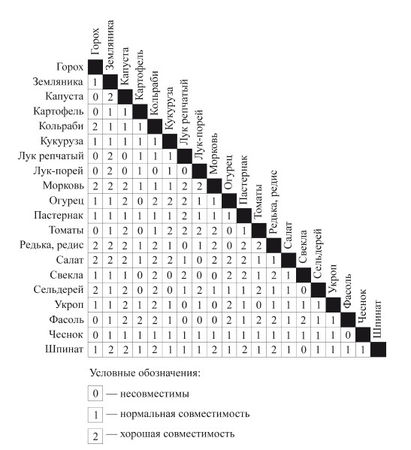 Елена Шкитина - Выращивание основных видов овощных культур. Технология богатых...