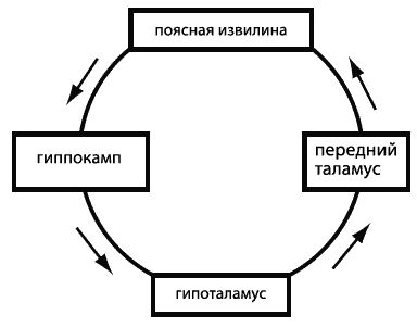 Борис Лемберг - Эмоциональный интеллект. Как разум общается с чувствами