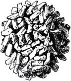 Жан-Анри Фабр - Жизнь насекомых. Рассказы энтомолога