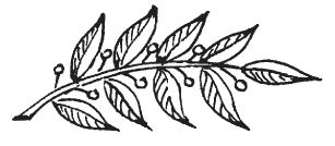 Еще раз про любовь. Стихи русских...