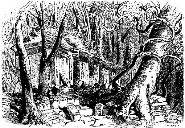 Николай Соколов - Ариасвати