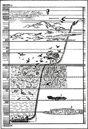 Андрей Лапо - Следы былых биосфер, или Рассказ о том, как устроена биосфера и...
