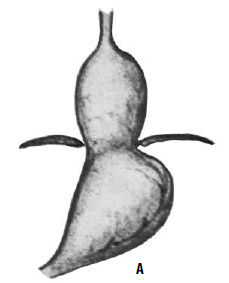 Коллектив авторов - Избранные лекции по факультетской хирургии: учебное пособие