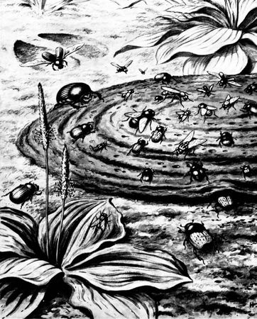 Жан-Анри Фабр - Жизнь насекомых. Рассказы энтомолога