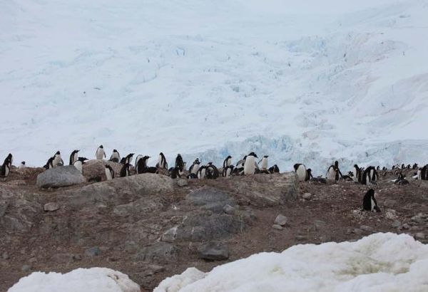 Владимир Ромашкин - Загадки исчезнувших цивилизаций. Часть I. Загадочная Антарктида