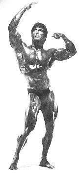 Арнольд Шварценеггер, Билл Доббинс - Новая энциклопедия бодибилдинга. Кн.2....