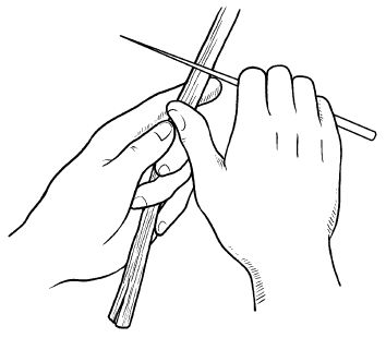 Галина Серикова - Прививка плодовых деревьев: распространенные ошибки и секреты...