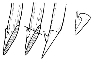 Галина Серикова - Прививка плодовых деревьев: распространенные ошибки и секреты...