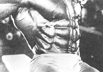 Арнольд Шварценеггер, Билл Доббинс - Новая энциклопедия бодибилдинга. Кн.2....