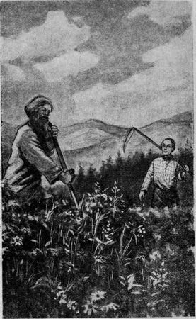 Александр Шмаков - Петербургский изгнанник. Книга вторая