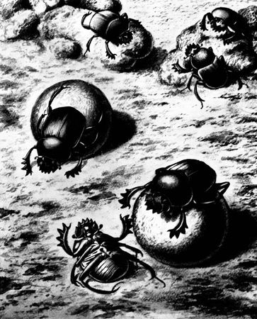 Жан-Анри Фабр - Жизнь насекомых. Рассказы энтомолога