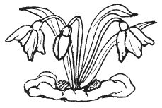 Антология, Михаил Нянковский - Еще раз про любовь. Стихи русских поэтов. Вторая...