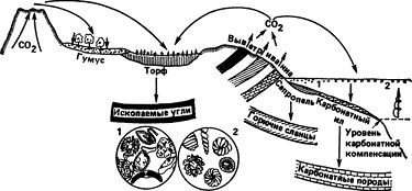 Андрей Лапо - Следы былых биосфер, или Рассказ о том, как устроена биосфера и...