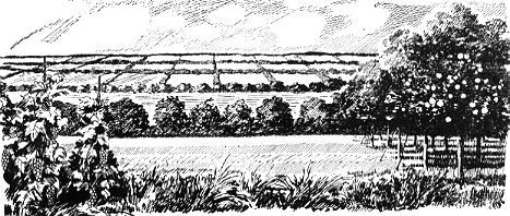 Николай Томан - Просчет мистера Бергоффа (с иллюстрациями)