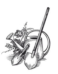 Елена Шкитина - Выращивание основных видов овощных культур. Технология богатых...